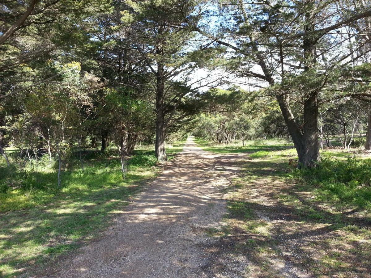 Torquay Timeout Villa Dış mekan fotoğraf