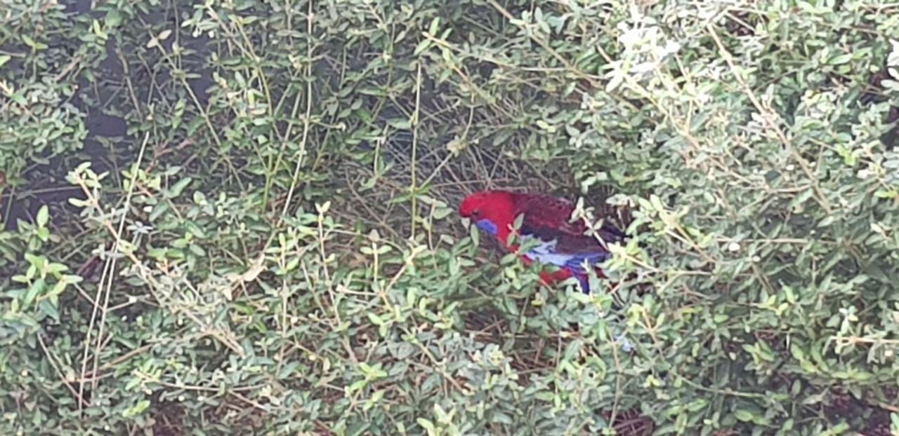 Torquay Timeout Villa Dış mekan fotoğraf